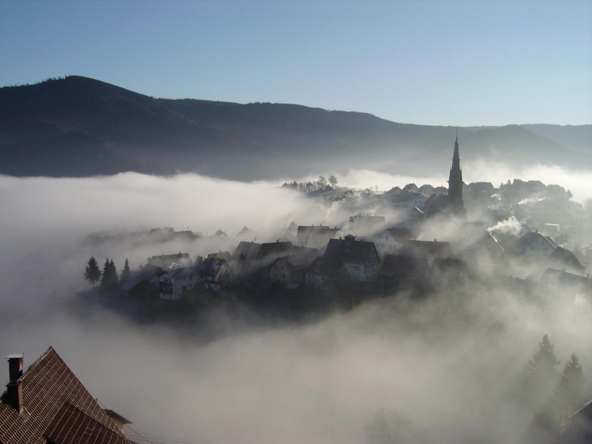 Apartament Am Keschtewaeldele **** Forbach