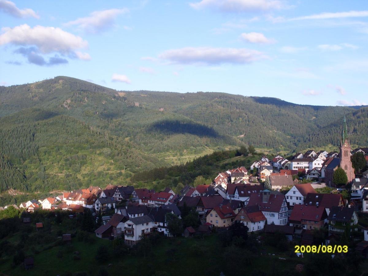 Apartment Am Keschtewaeldele **** Forbach